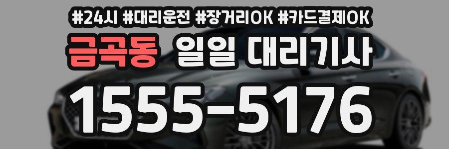금곡동 일일 대리기사