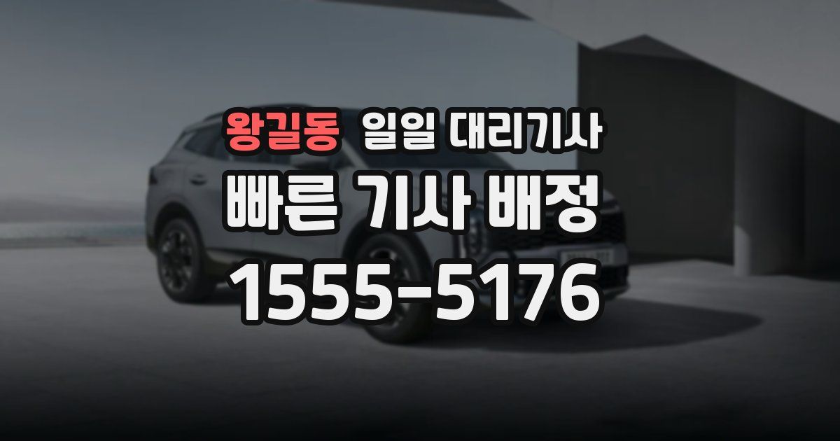 왕길동 일일 대리기사