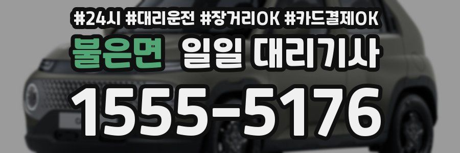 불은면 일일 대리기사