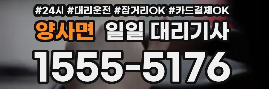 양사면 일일 대리기사