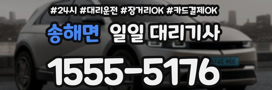 송해면 일일 대리기사