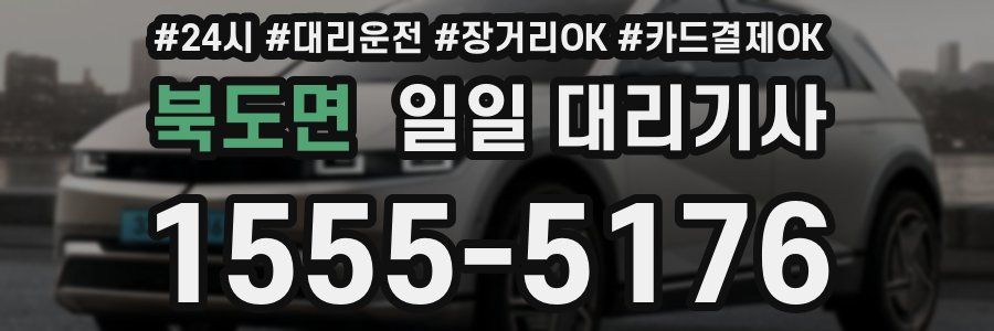 북도면 일일 대리기사