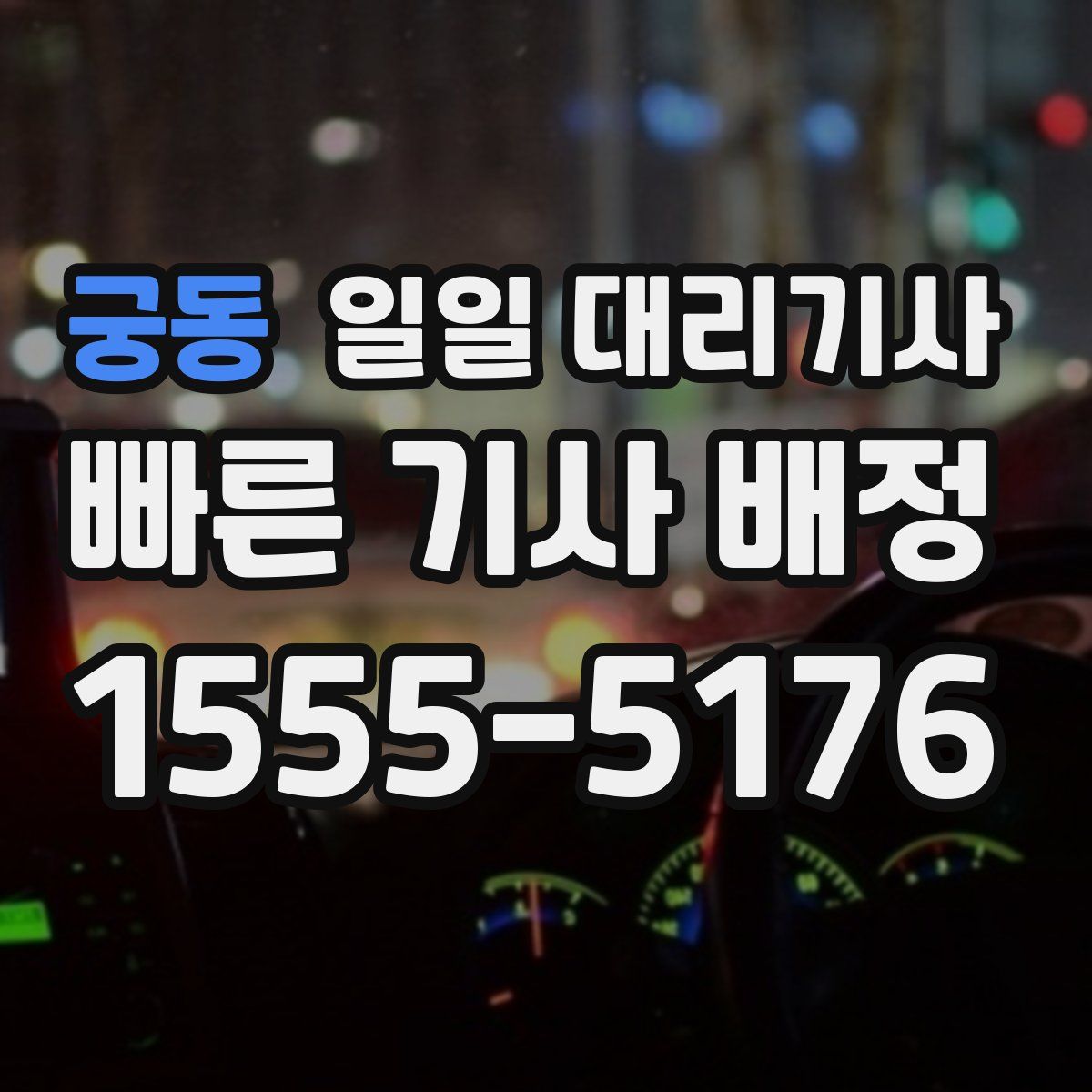 궁동 일일 대리기사
