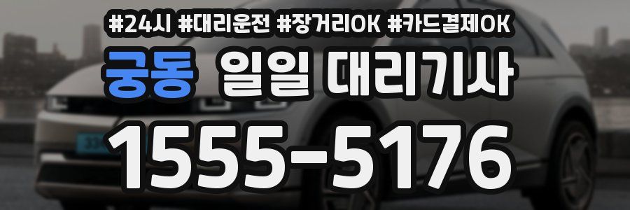 궁동 일일 대리기사