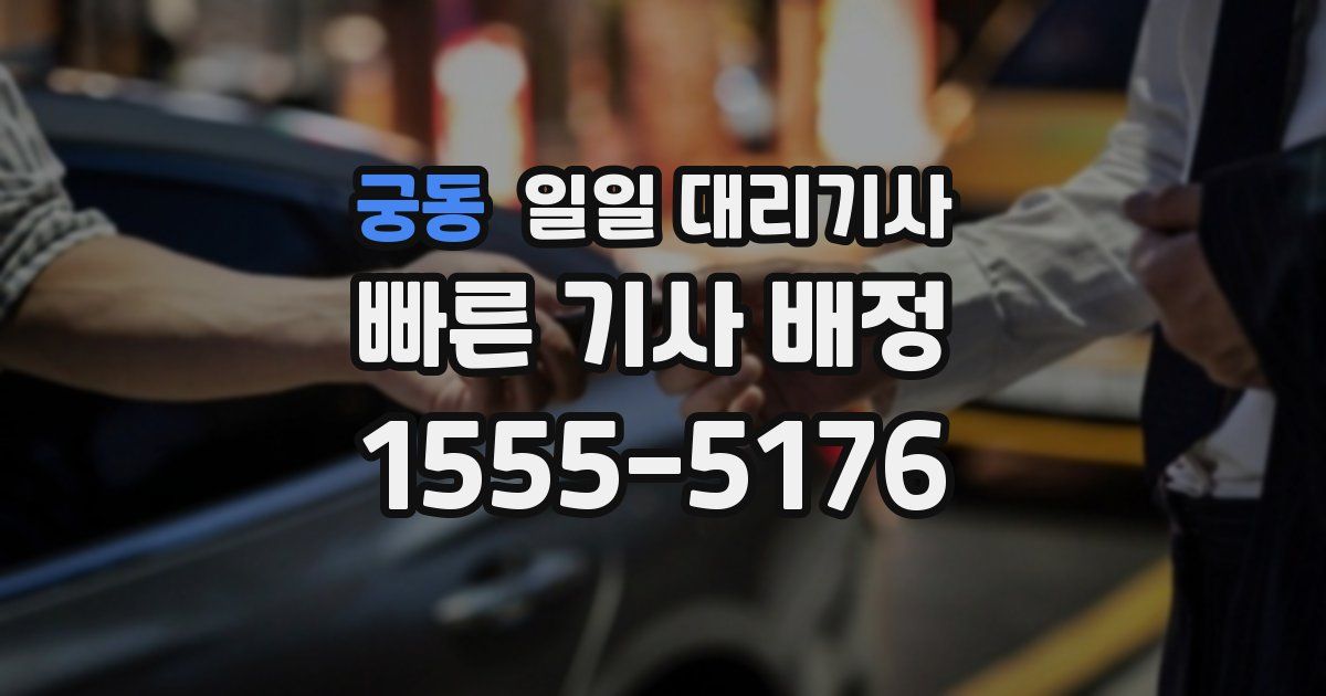 궁동 일일 대리기사