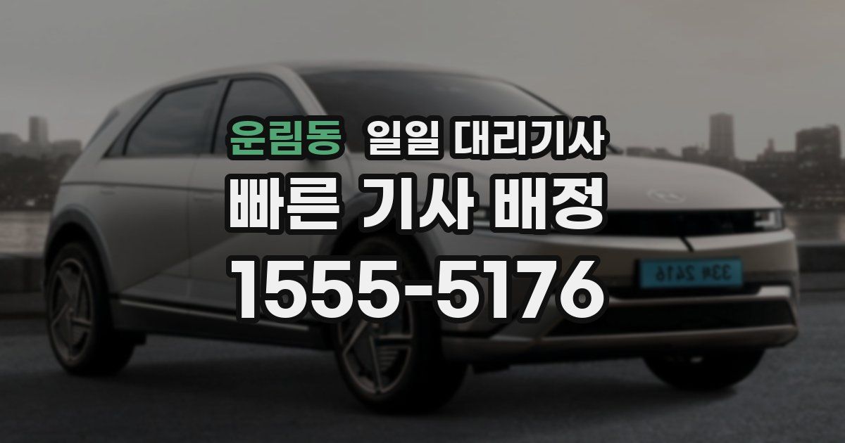 운림동 일일 대리기사