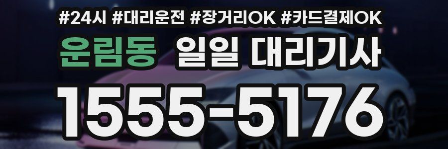 운림동 일일 대리기사