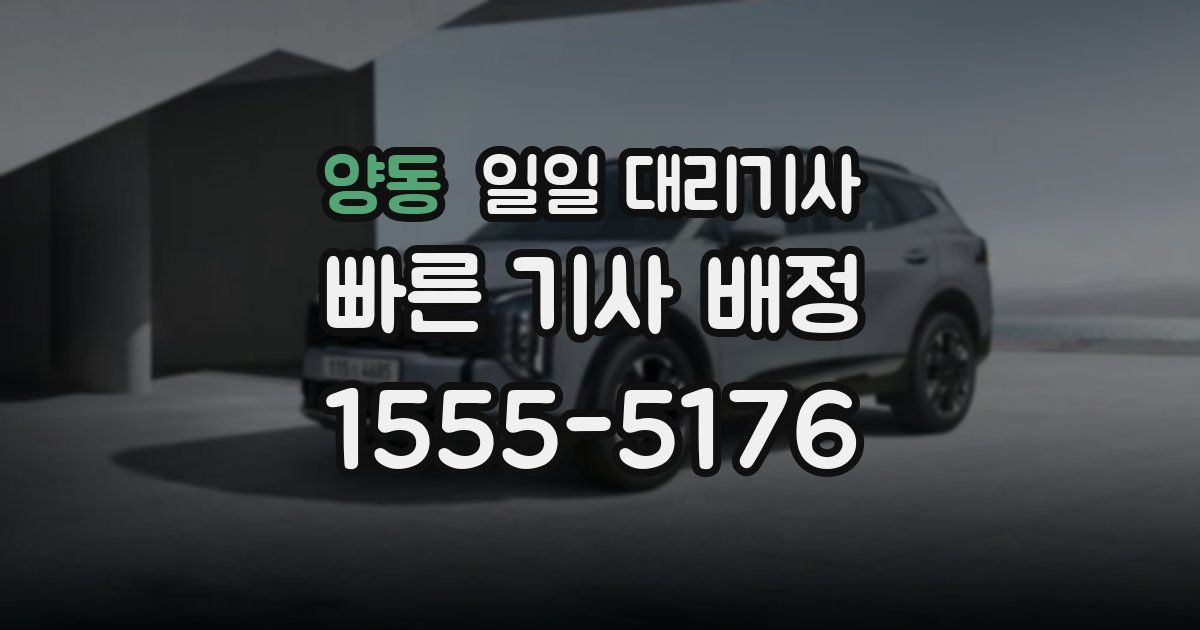양동 일일 대리기사