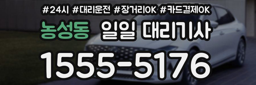 농성동 일일 대리기사