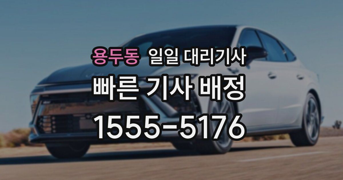 용두동 일일 대리기사
