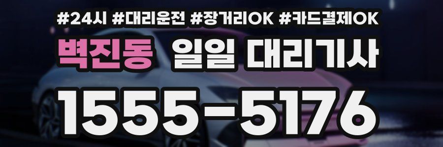 벽진동 일일 대리기사