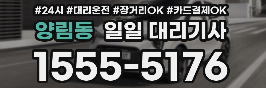 양림동 일일 대리기사