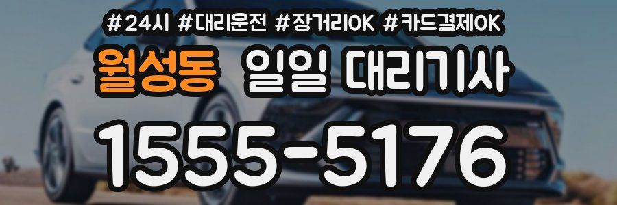 월성동 일일 대리기사