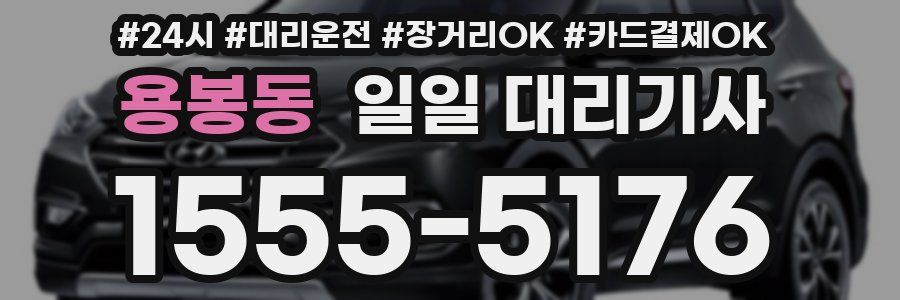 용봉동 일일 대리기사