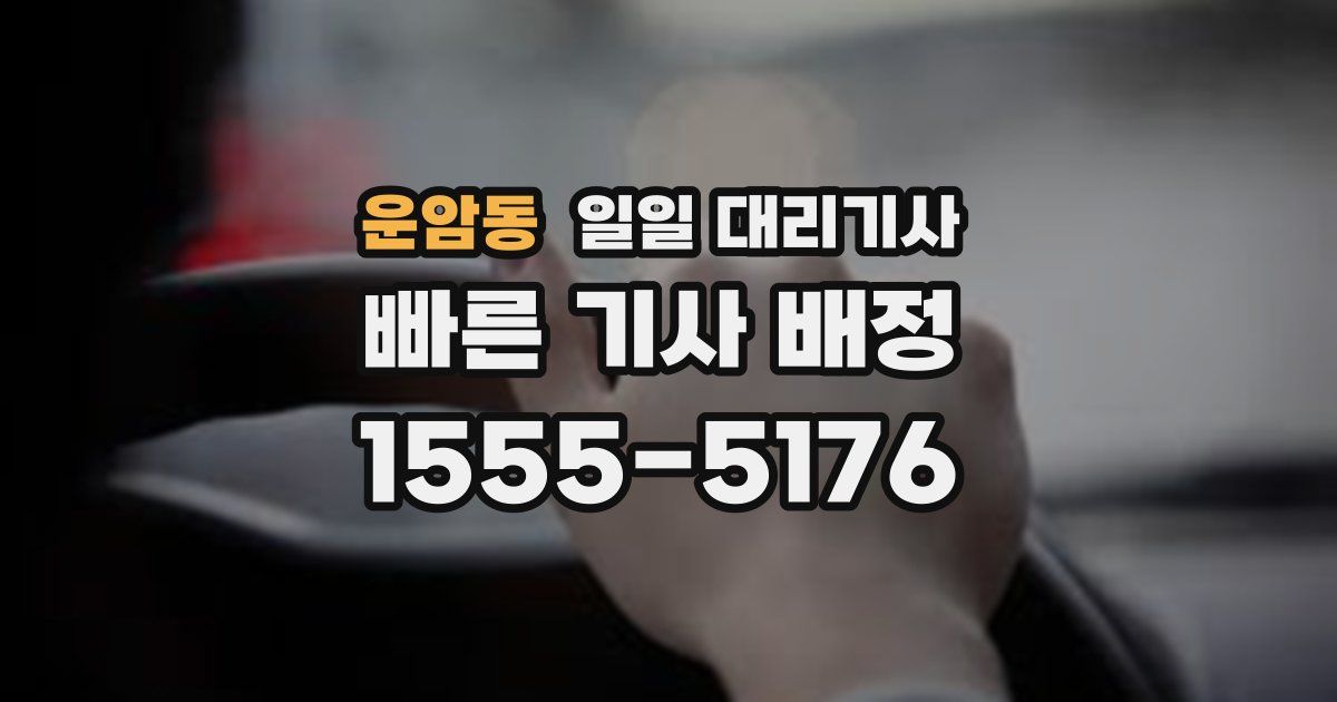 운암동 일일 대리기사