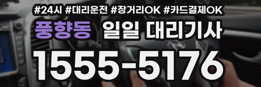 풍향동 일일 대리기사