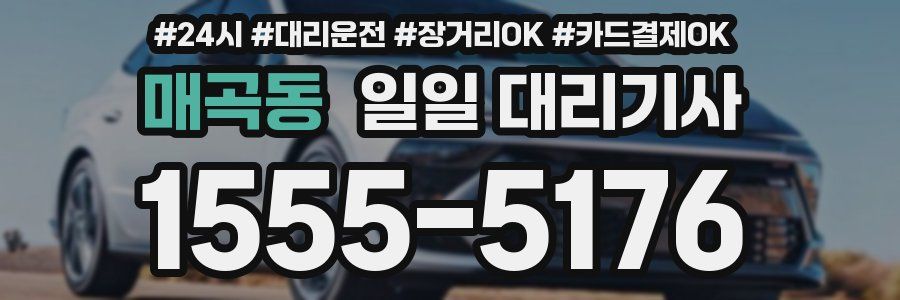 매곡동 일일 대리기사