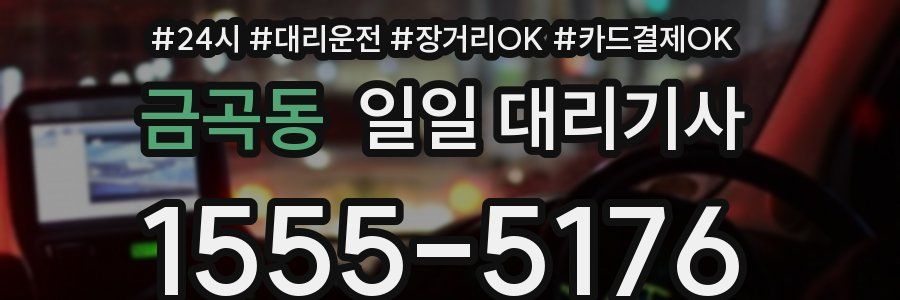 금곡동 일일 대리기사