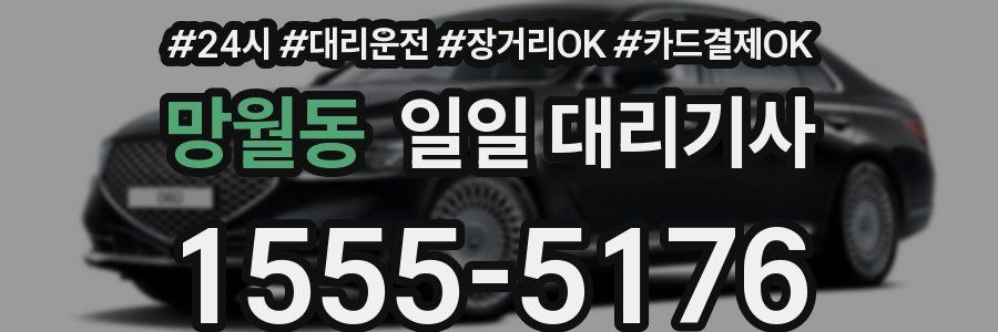 망월동 일일 대리기사