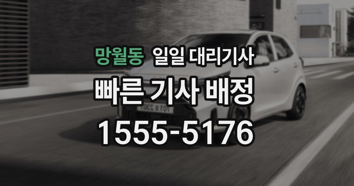 망월동 일일 대리기사
