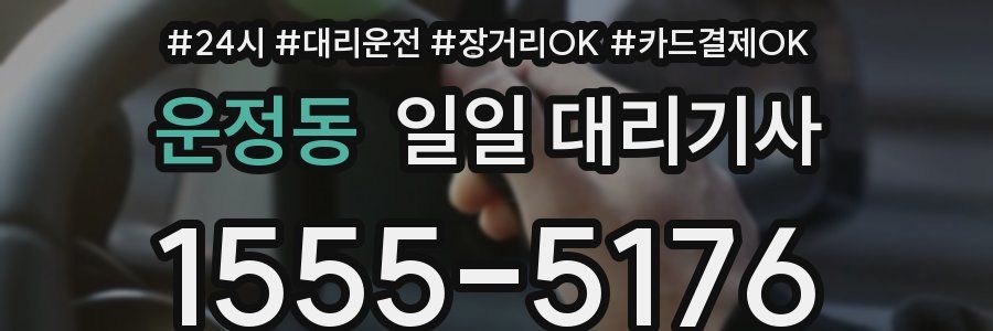 운정동 일일 대리기사