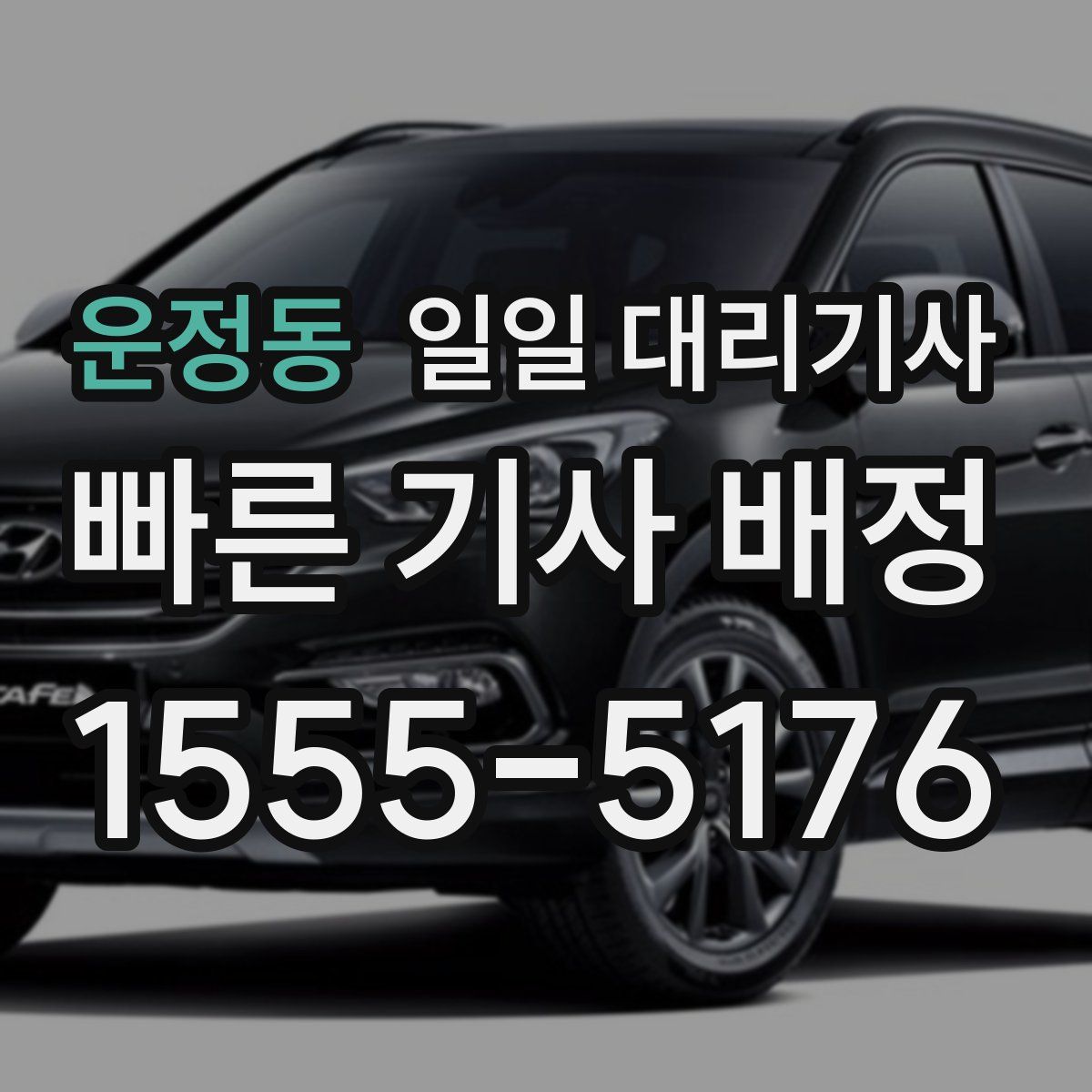 운정동 일일 대리기사