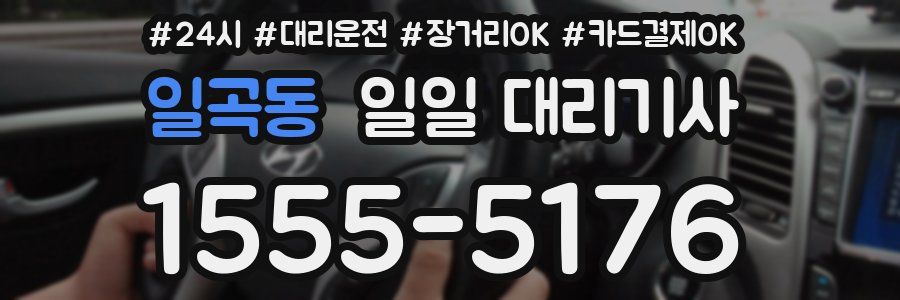 일곡동 일일 대리기사