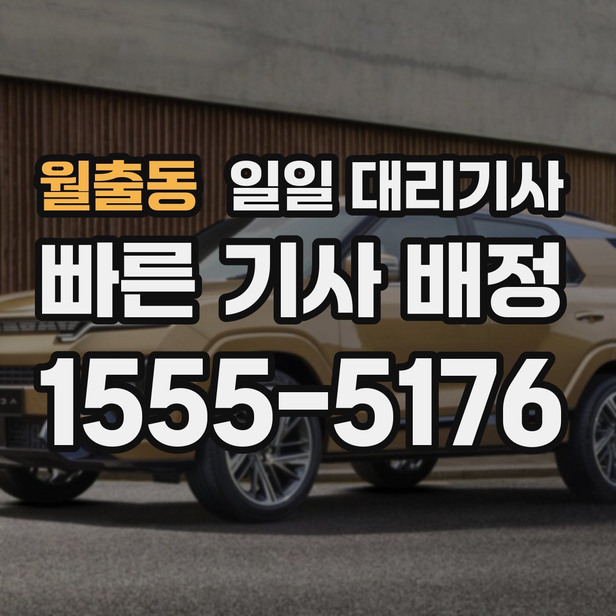 월출동 일일 대리기사