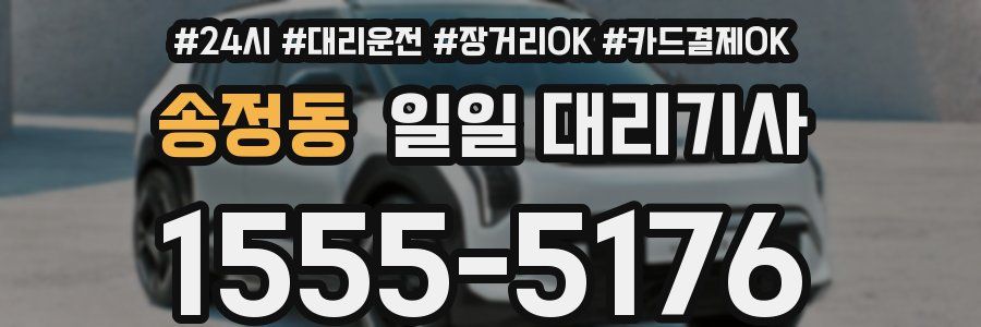송정동 일일 대리기사