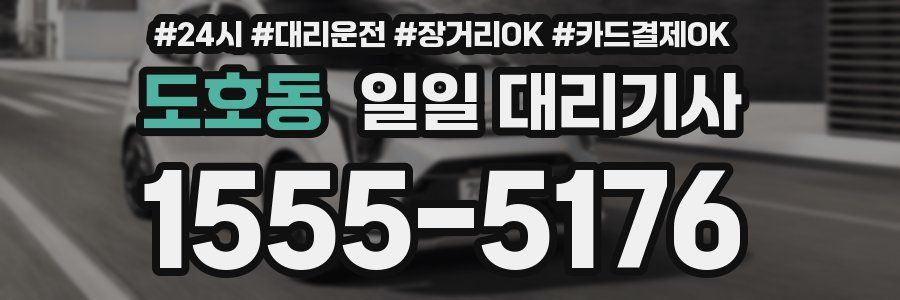 도호동 일일 대리기사