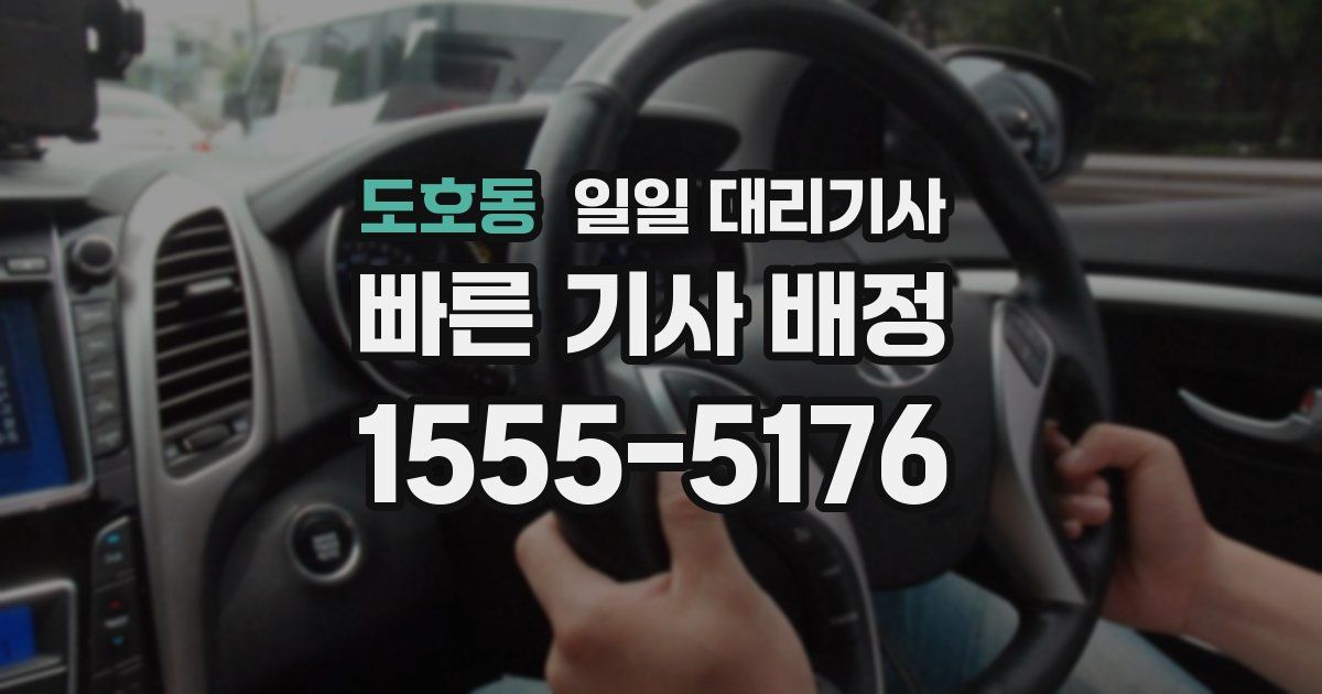 도호동 일일 대리기사