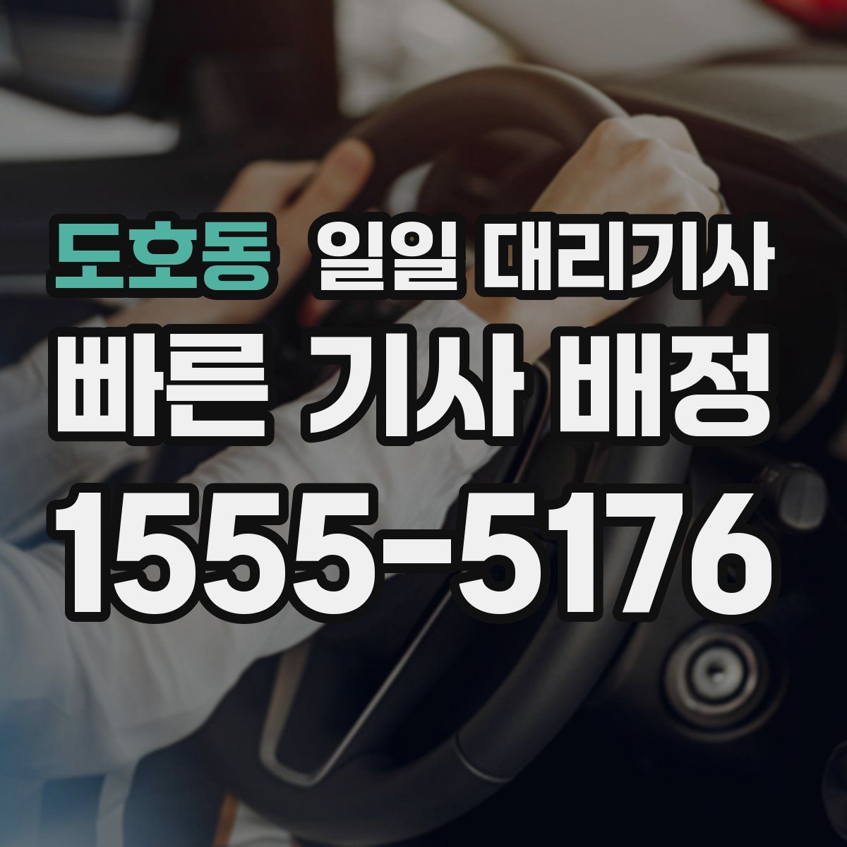 도호동 일일 대리기사