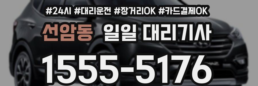 선암동 일일 대리기사