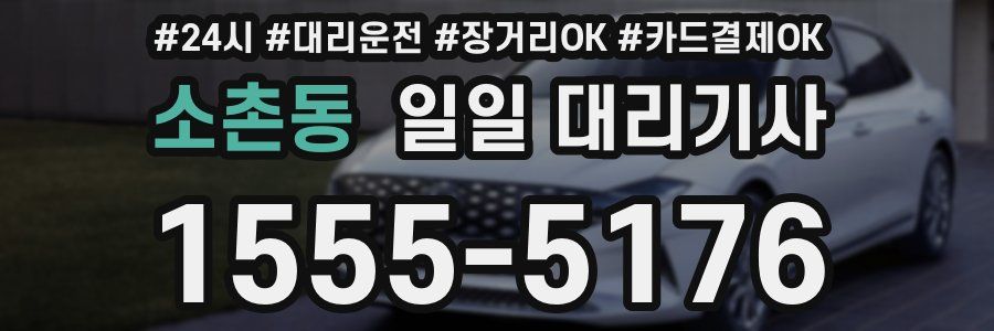 소촌동 일일 대리기사