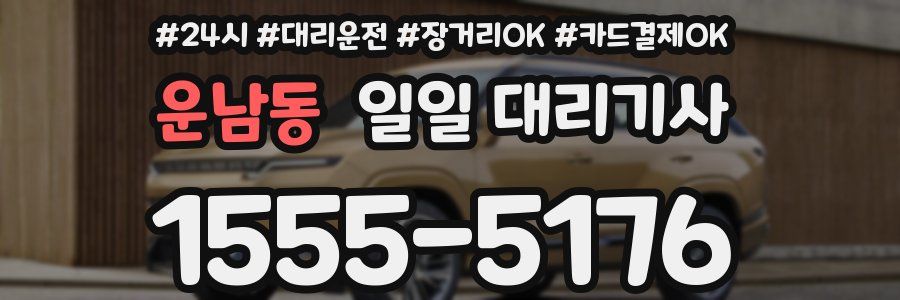 운남동 일일 대리기사
