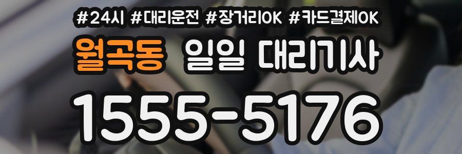 월곡동 일일 대리기사