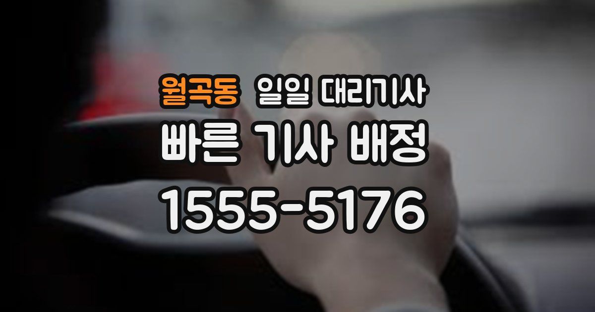 월곡동 일일 대리기사