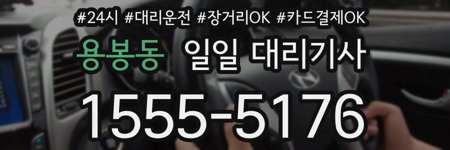 용봉동 일일 대리기사