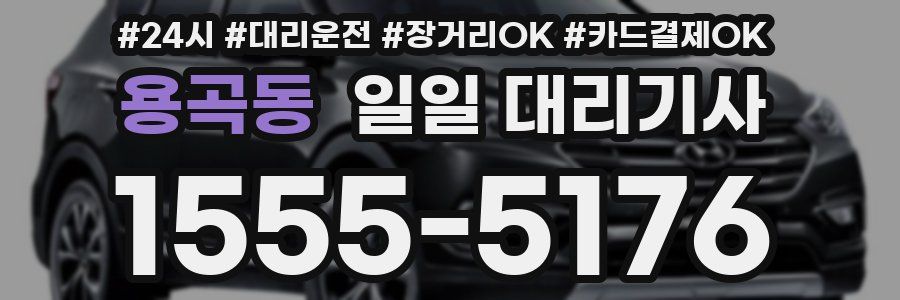용곡동 일일 대리기사