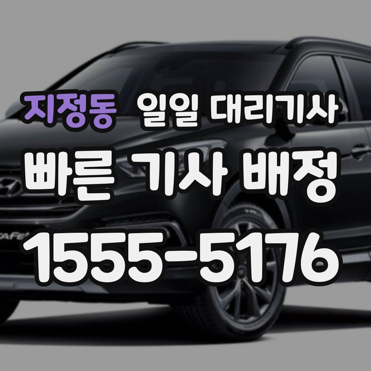 지정동 일일 대리기사