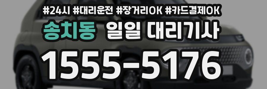 송치동 일일 대리기사
