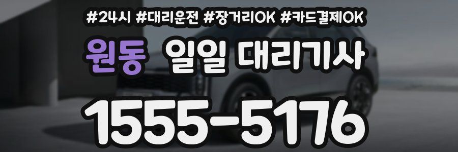 원동 일일 대리기사