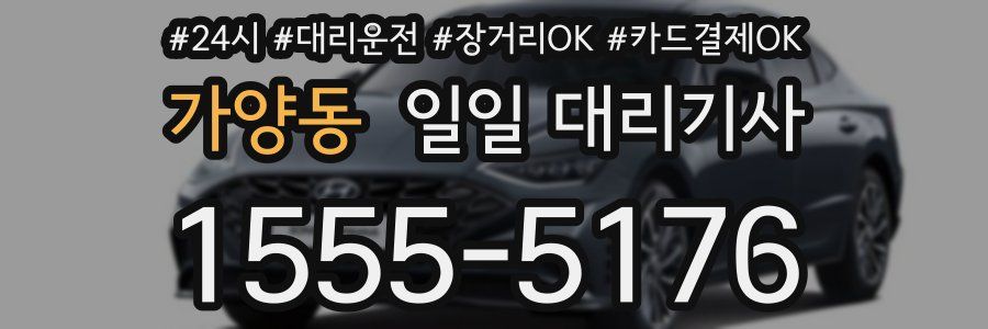 가양동 일일 대리기사