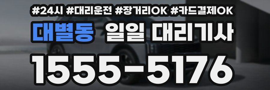 대별동 일일 대리기사