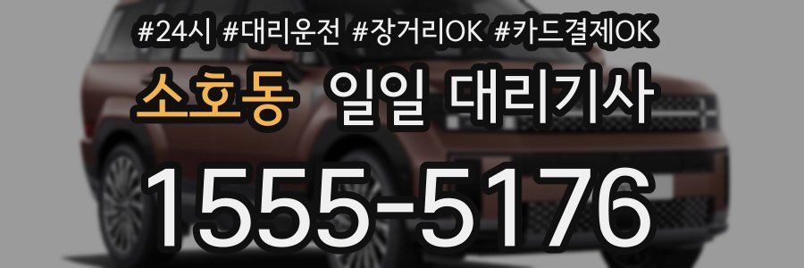 소호동 일일 대리기사