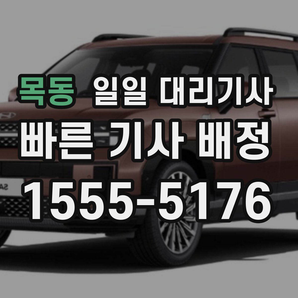 목동 일일 대리기사