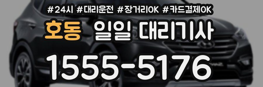 호동 일일 대리기사