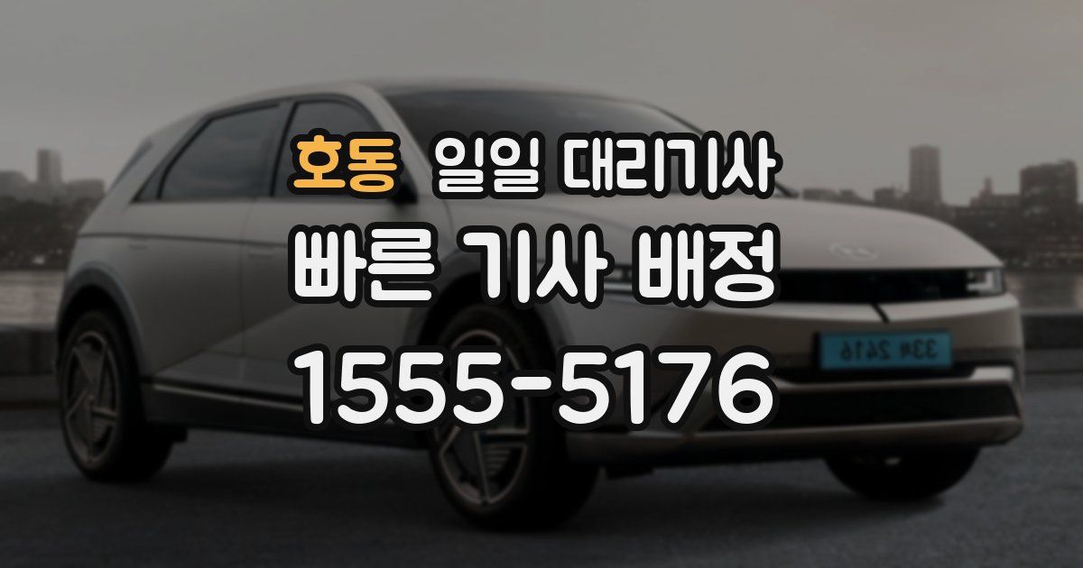 호동 일일 대리기사