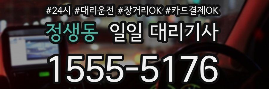 정생동 일일 대리기사