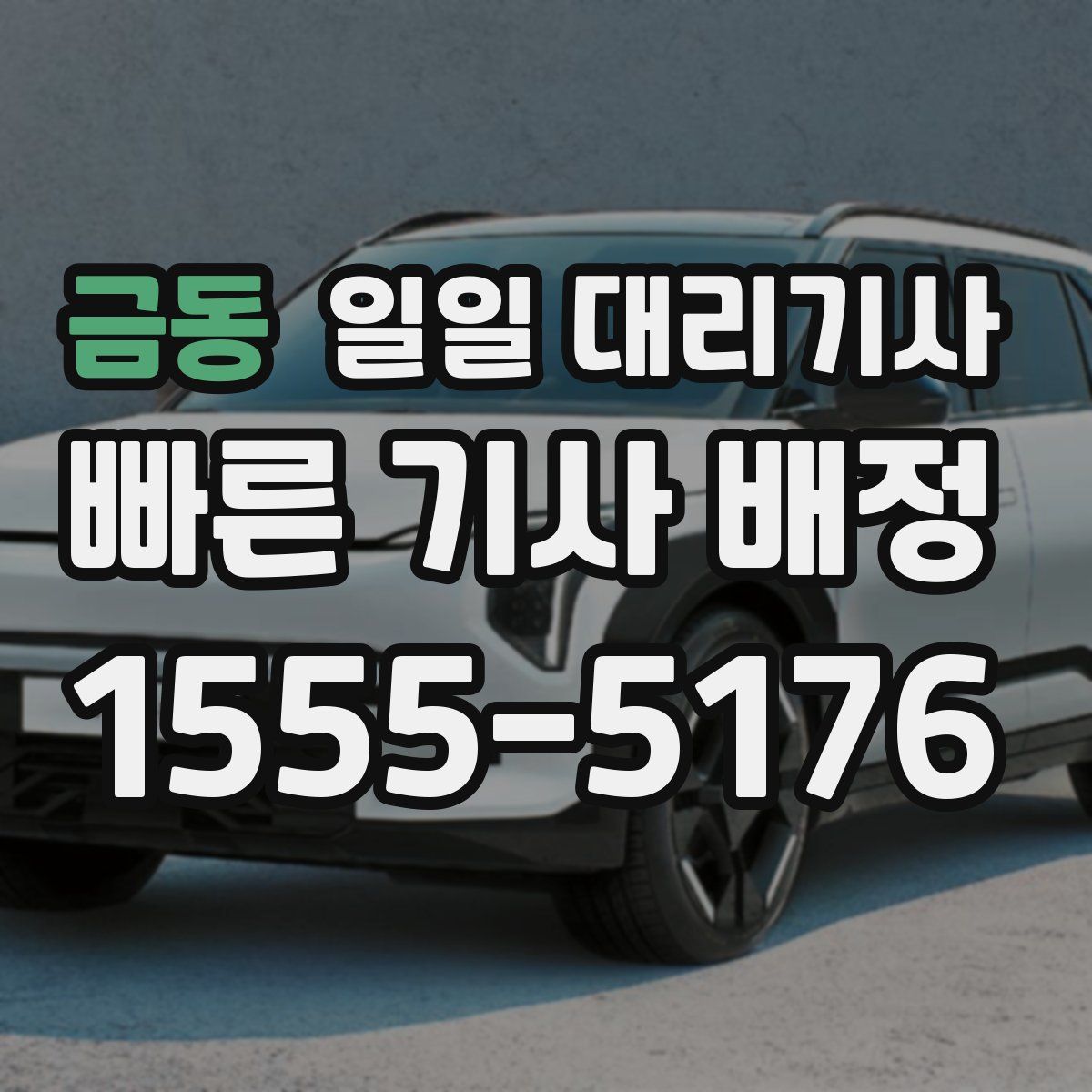 금동 일일 대리기사